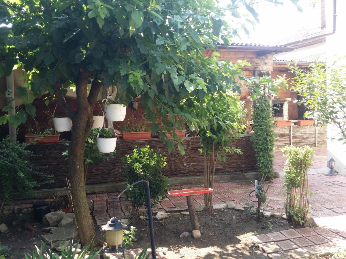 Casa Trandafirilor Hotel ทูลเซีย ภายนอก รูปภาพ
