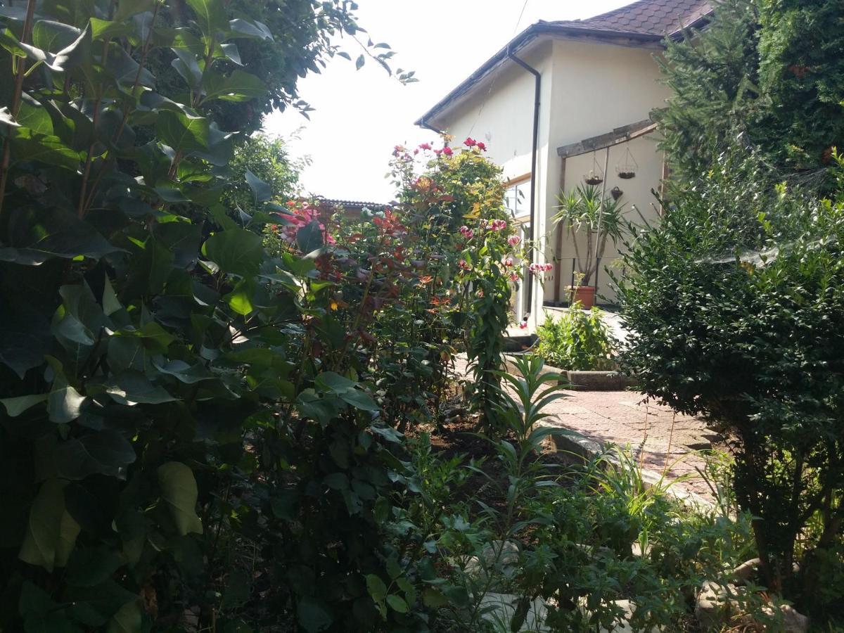 Casa Trandafirilor Hotel ทูลเซีย ภายนอก รูปภาพ